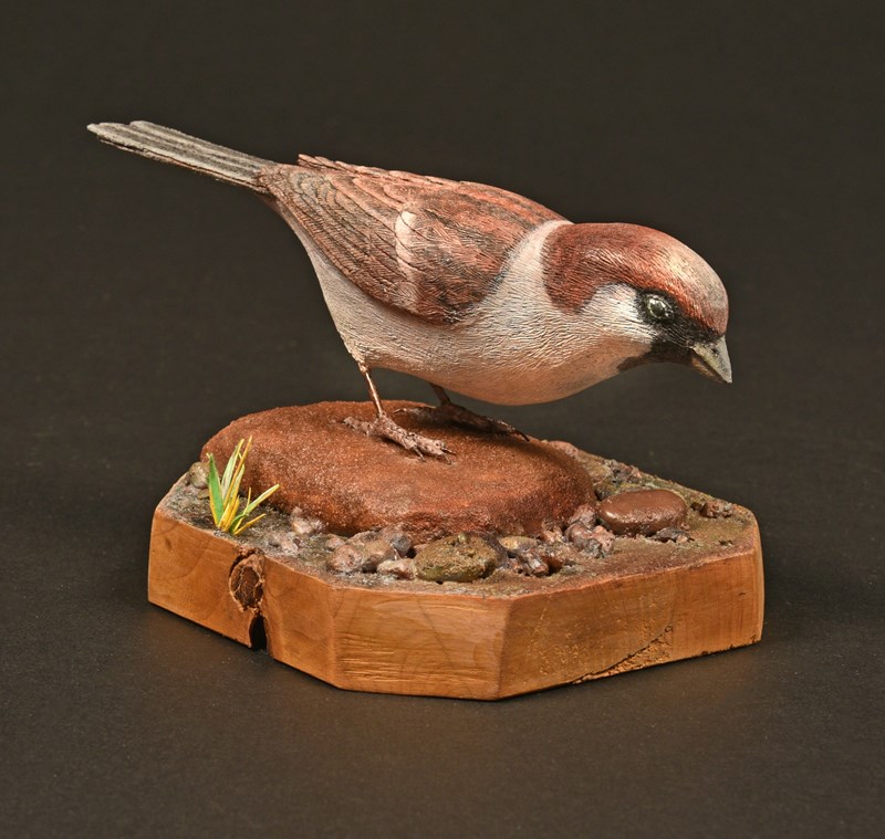 Hous Sparrow By David Bradley, Silver