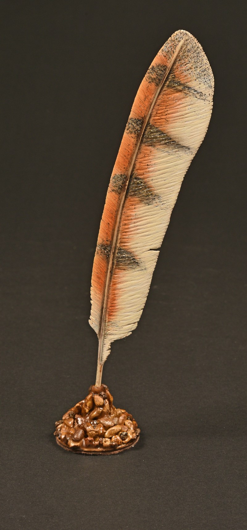 Barn Owl Feather by Stephen Rose, HC