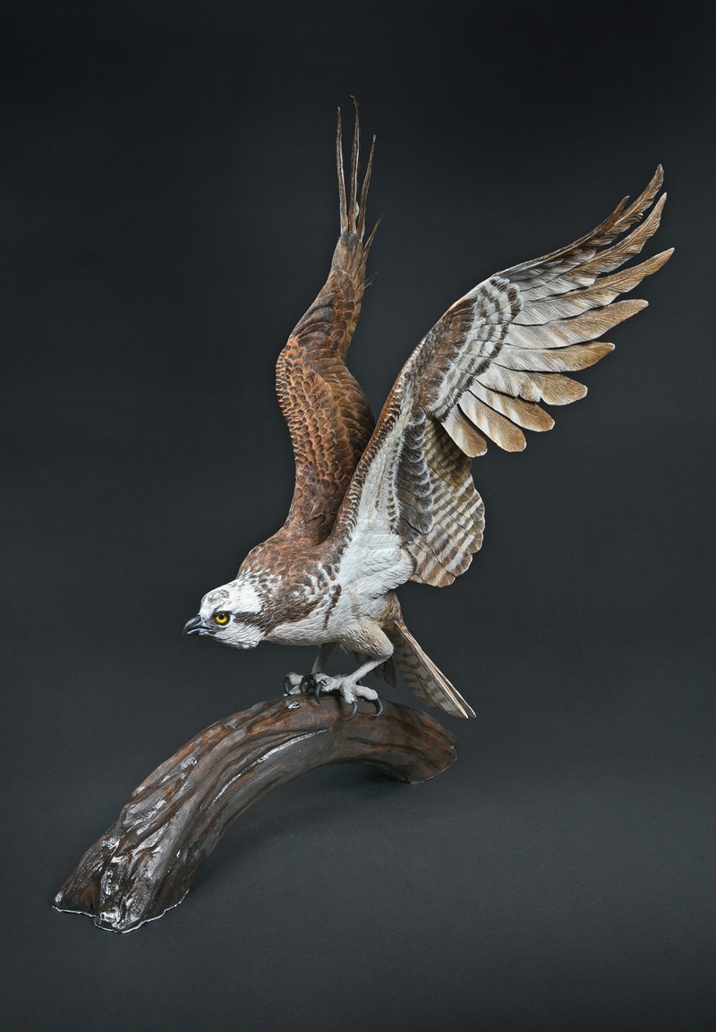 Osprey, half size by Maggie Port, 1st, British Championship Runner Up, Competitors Choice & Artistic