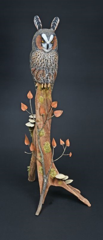 Long Eared Ow1 by Alan Pickersgill, 2nd