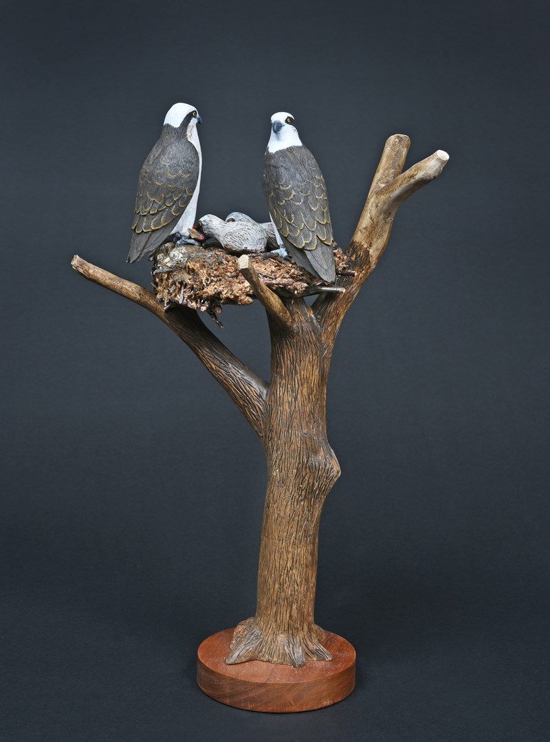 Osprey with chicks by Jan Bartlett