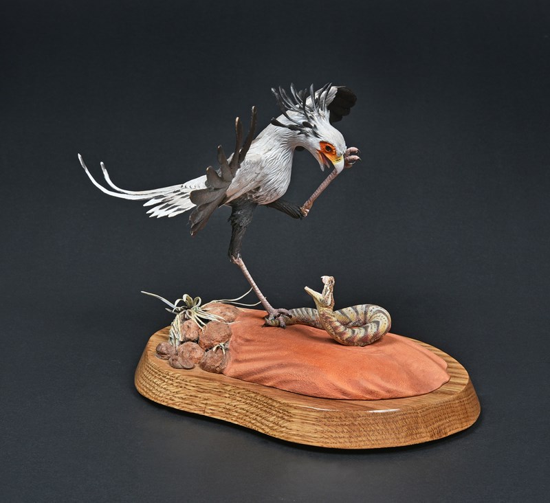Secretary Bird, 
