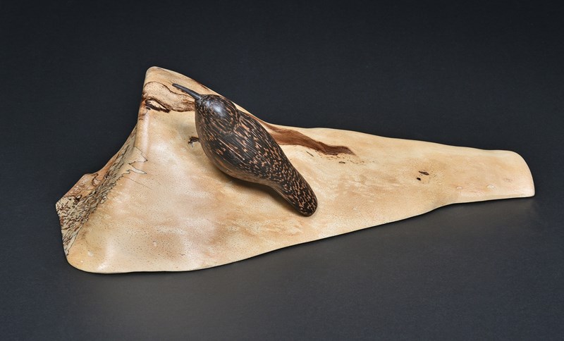 Treecreeper by Yvonne Langford, 2nd