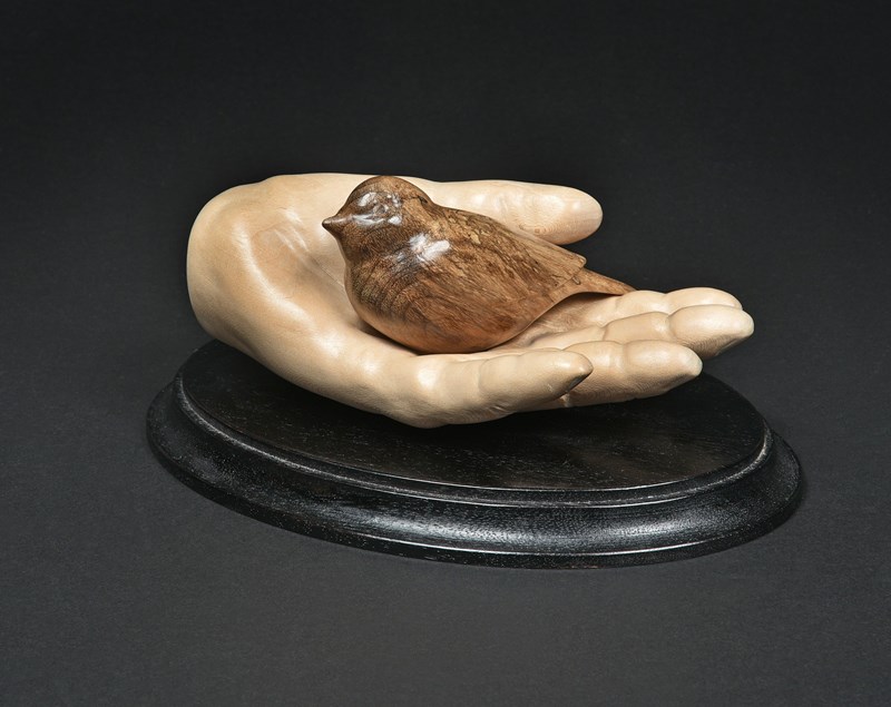 ‘Bird in my hand' by Pam Wilson, HC