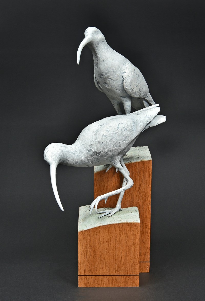 Curlew - approx 60% lifesize by Paul Tully, 1st