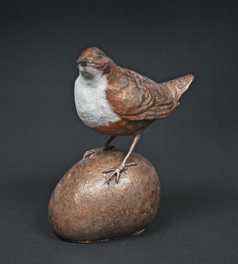 Dipper on rock by Stephen Rose, HC