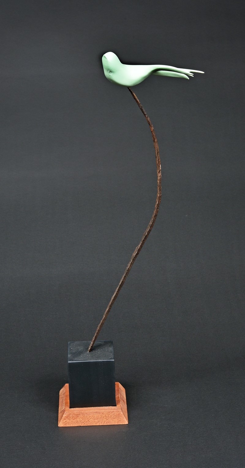 Swift in flight by Owen Wignall