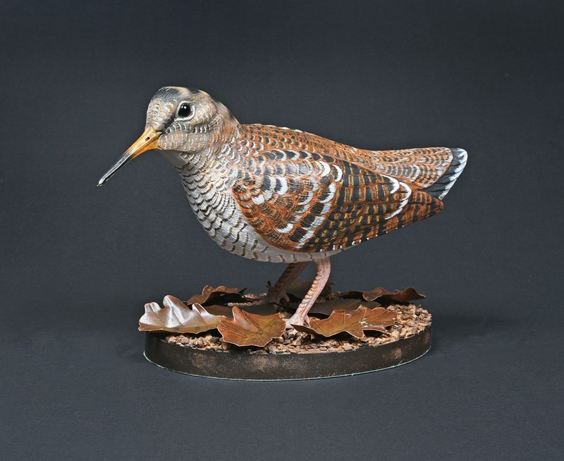 Woodcock by Terry Getley, HC