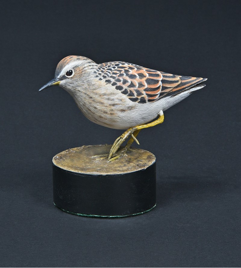 Long Toed Stint (fond memory) by Alan Pickersgill, 1st