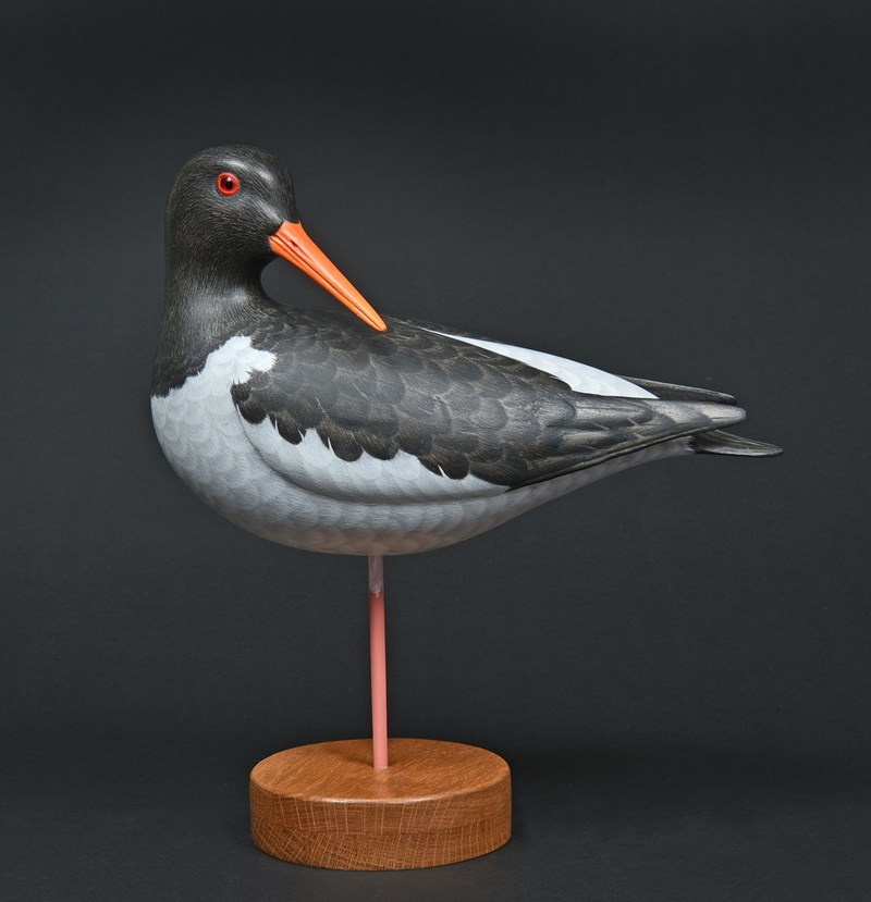 Oystercatcher by Paul Dalby, 2nd
