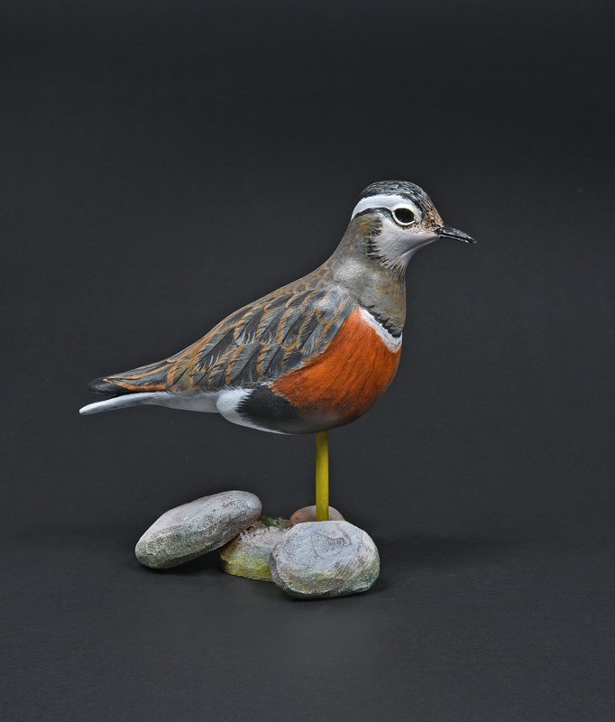 Dotterel by Mark Richards
