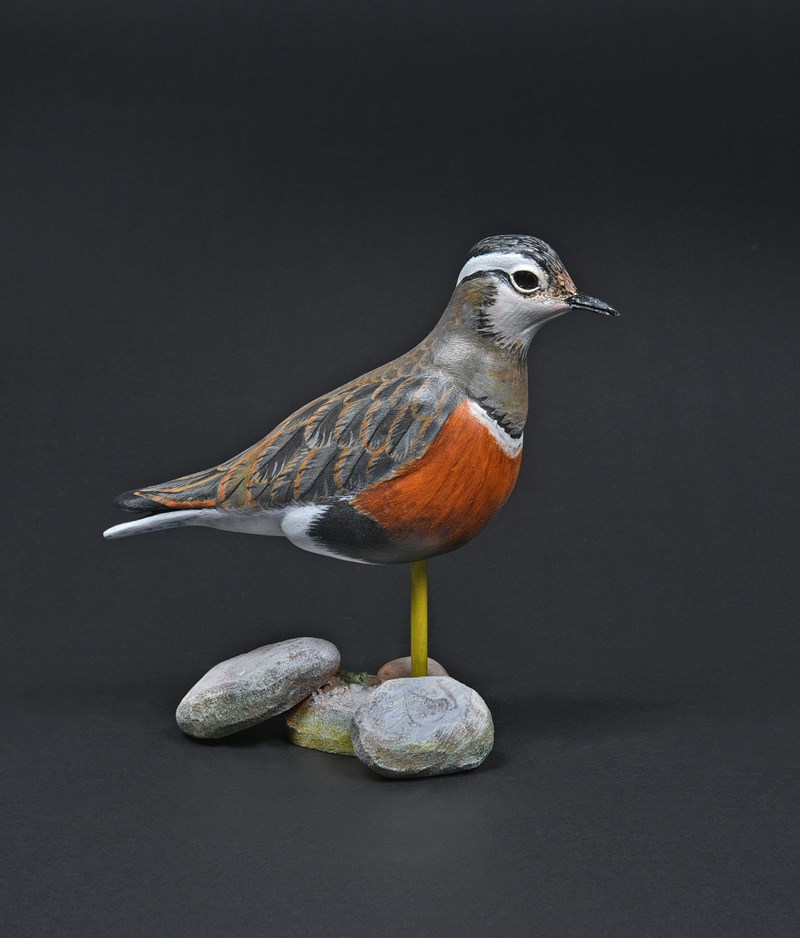 Dotterel by Mark Richards