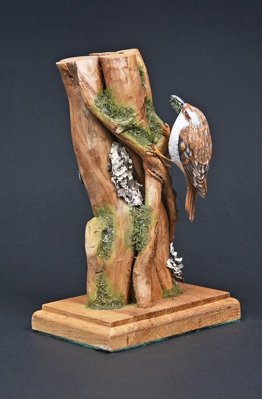 Treecreeper by John W White