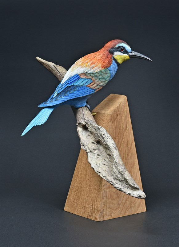 European Bee-eater by Paul Tully