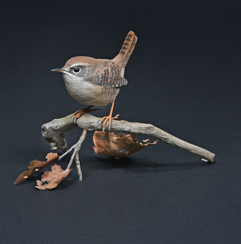 Wren by Alan Pickersgill, 2nd