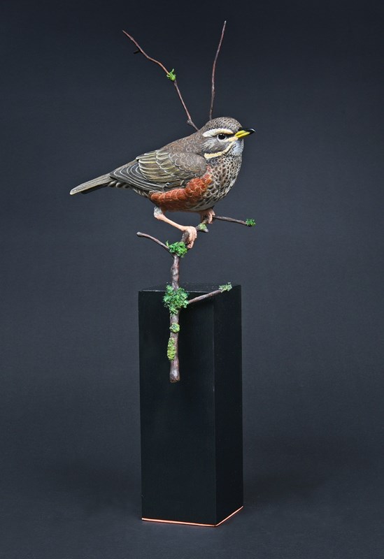Redwing by Richard Rossiter, 1st