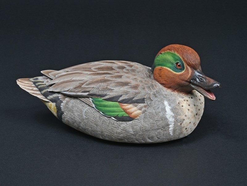 American Green-winged Teal by Craig Mortimore, 1st, British Champion, and Best Open