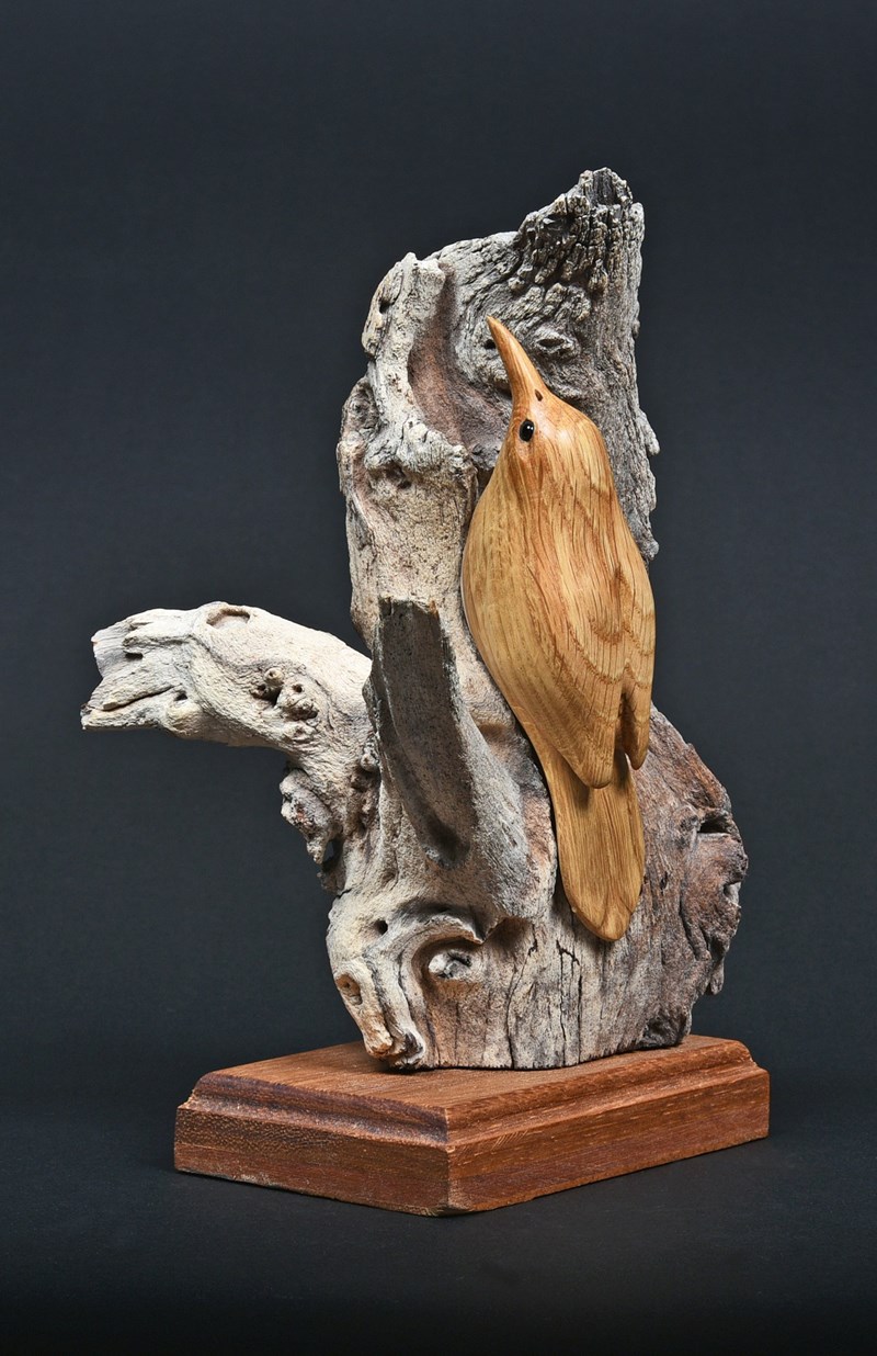 Treecreeper by Derek Black, Gold
