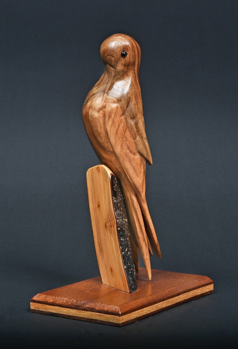 Common Tern by Derek Black, Bronze