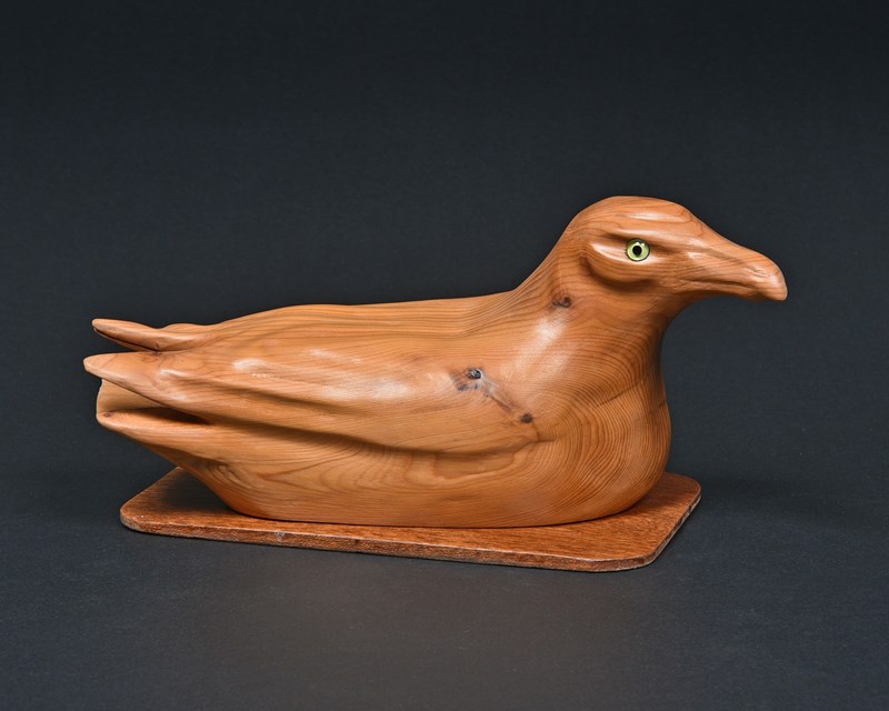 Herring Gull, 60% lifesize by Derek Black