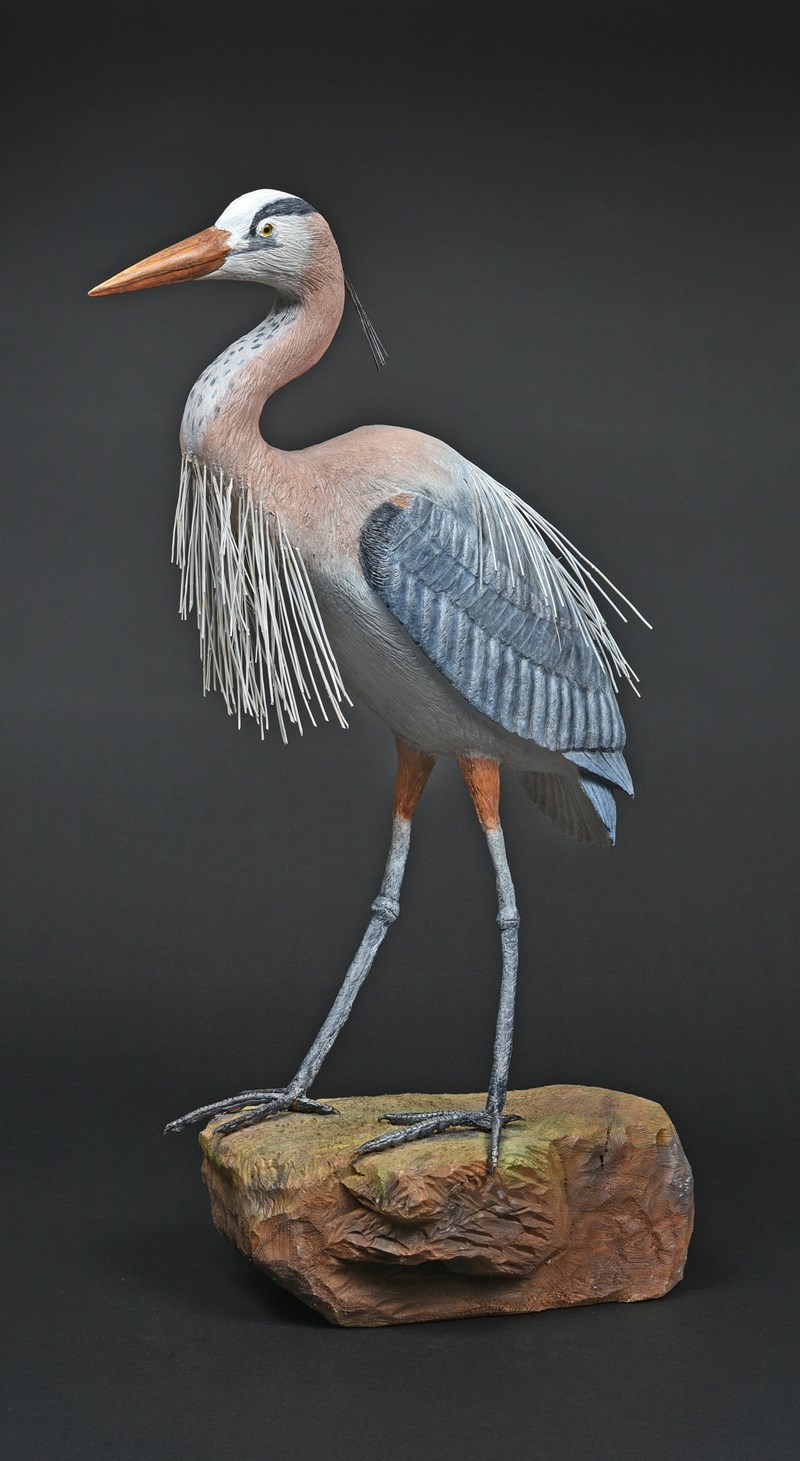 Great blue Heron, 1/2 size by Peter Spiers, Gold