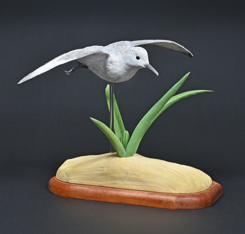Sanderling by Peter Warren, Silver