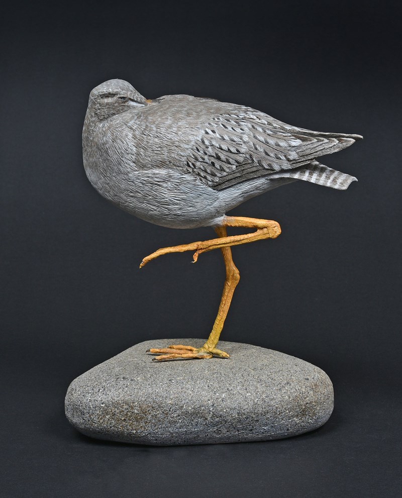 Roosting Yellowlegs by Roger Francis, Silver