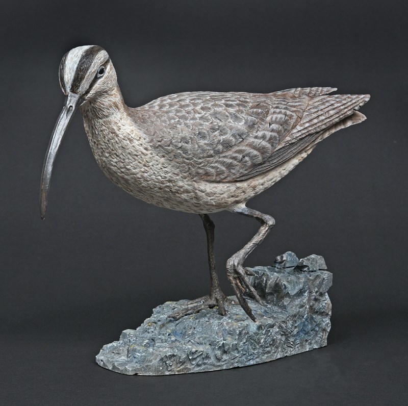 Hudsonian Whimbrel by Peter Spiers, Bronze