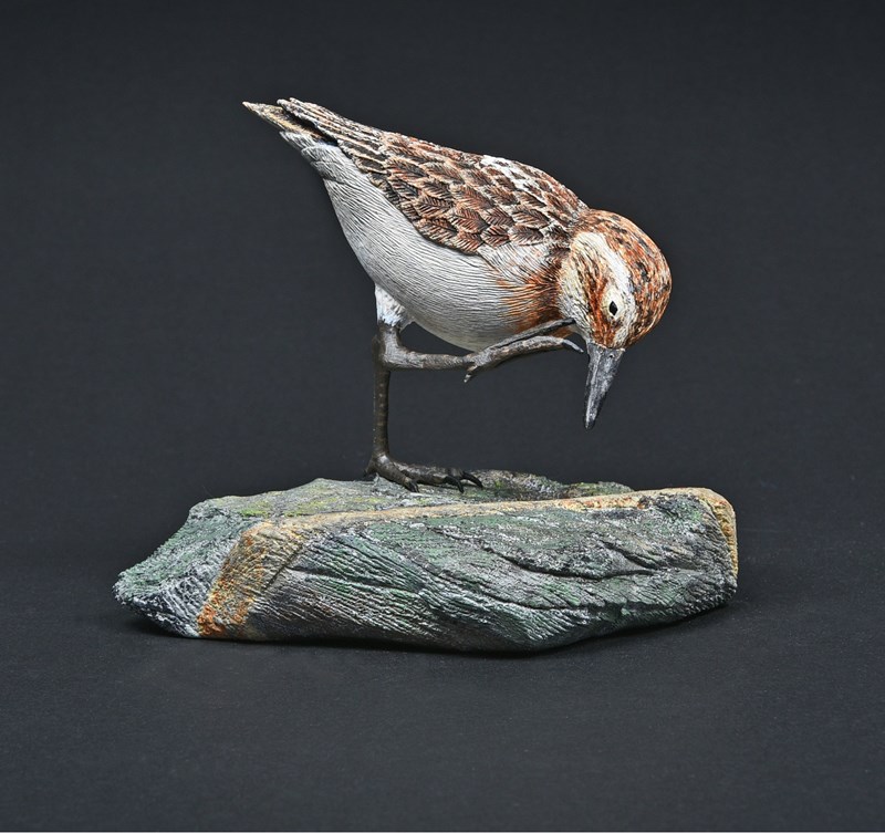Little Stint, juvenile by Martyn Bacon