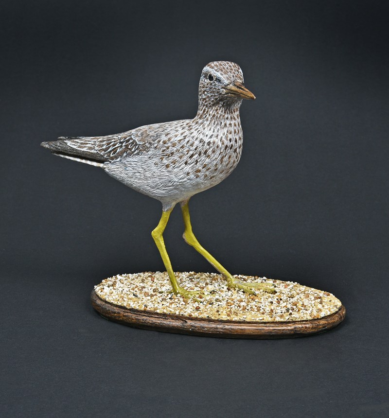 Wood Sandpiper by Roger Francis