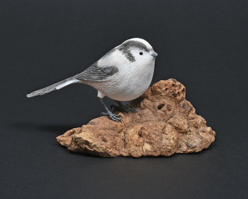 Long-tailed Tit by Peter Warren