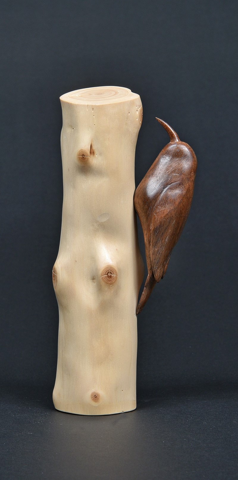 Treecreeper in English Walnut by Sue Yates, Silver