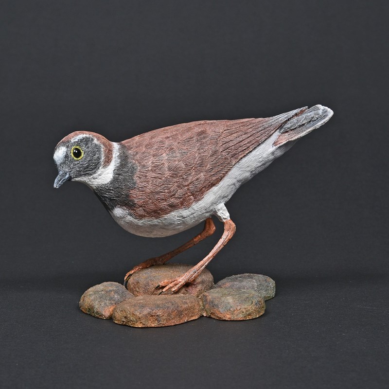 Little Ringed Plover by David Bradley, Gold