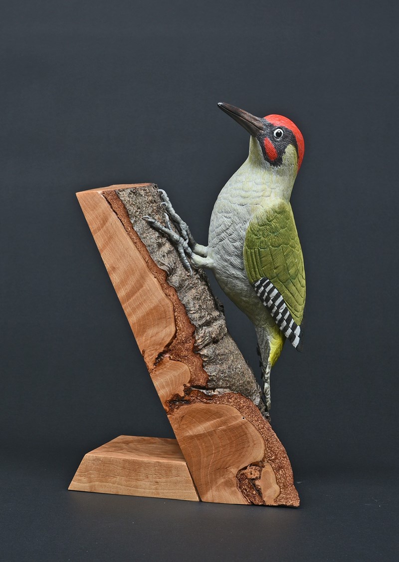 Green Woodpecker by Sue Yates, Silver
