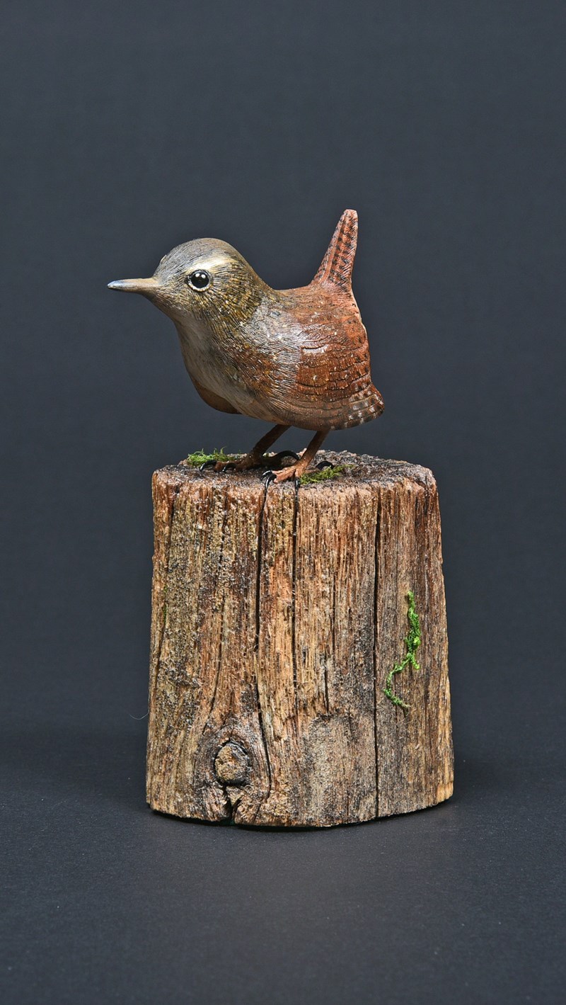 Winter Wren by Kathleen Winn