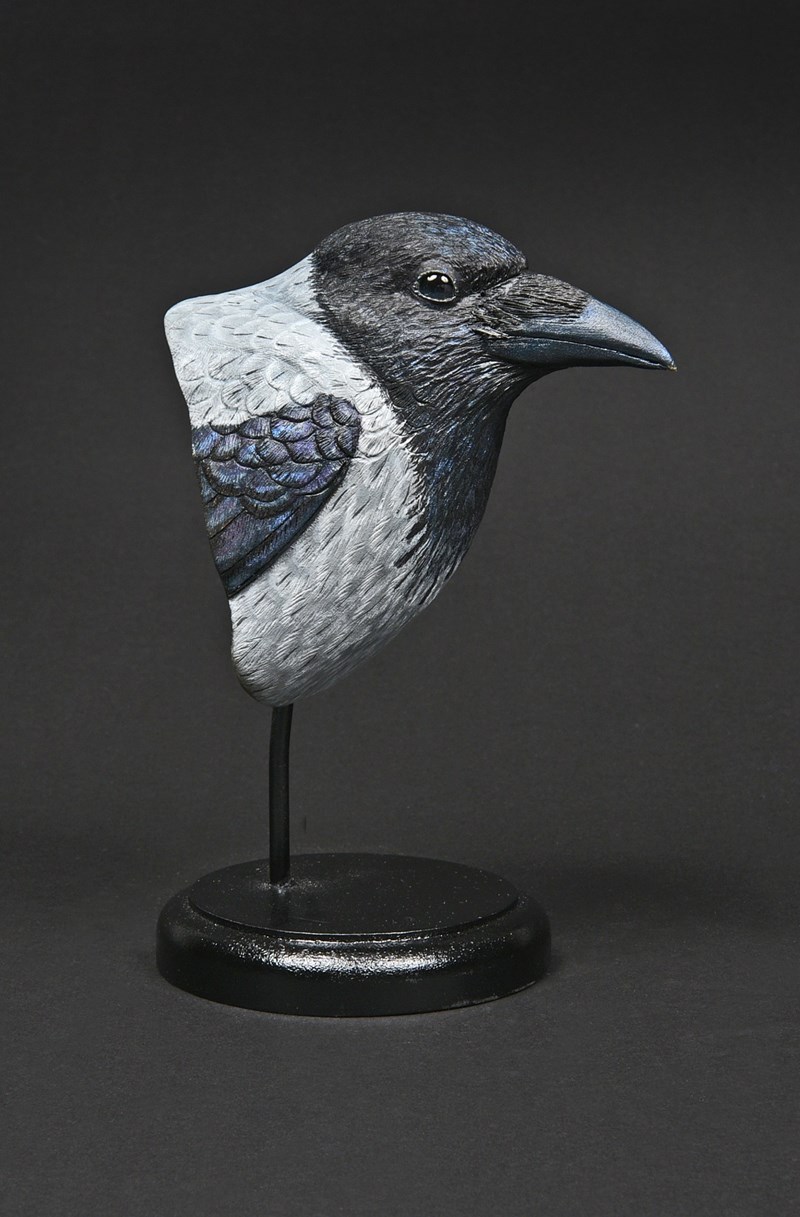 Hooded Crow head by Mark Richards, 1st