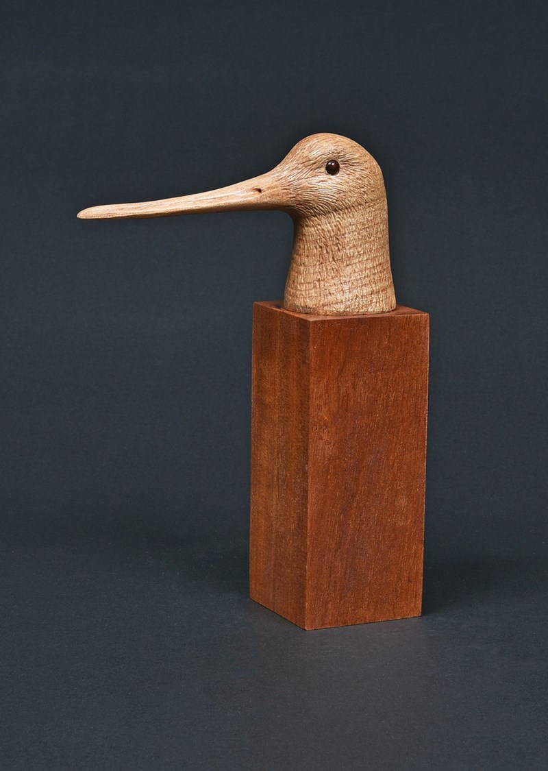 Bar Tailed Godwit in elm by John W White