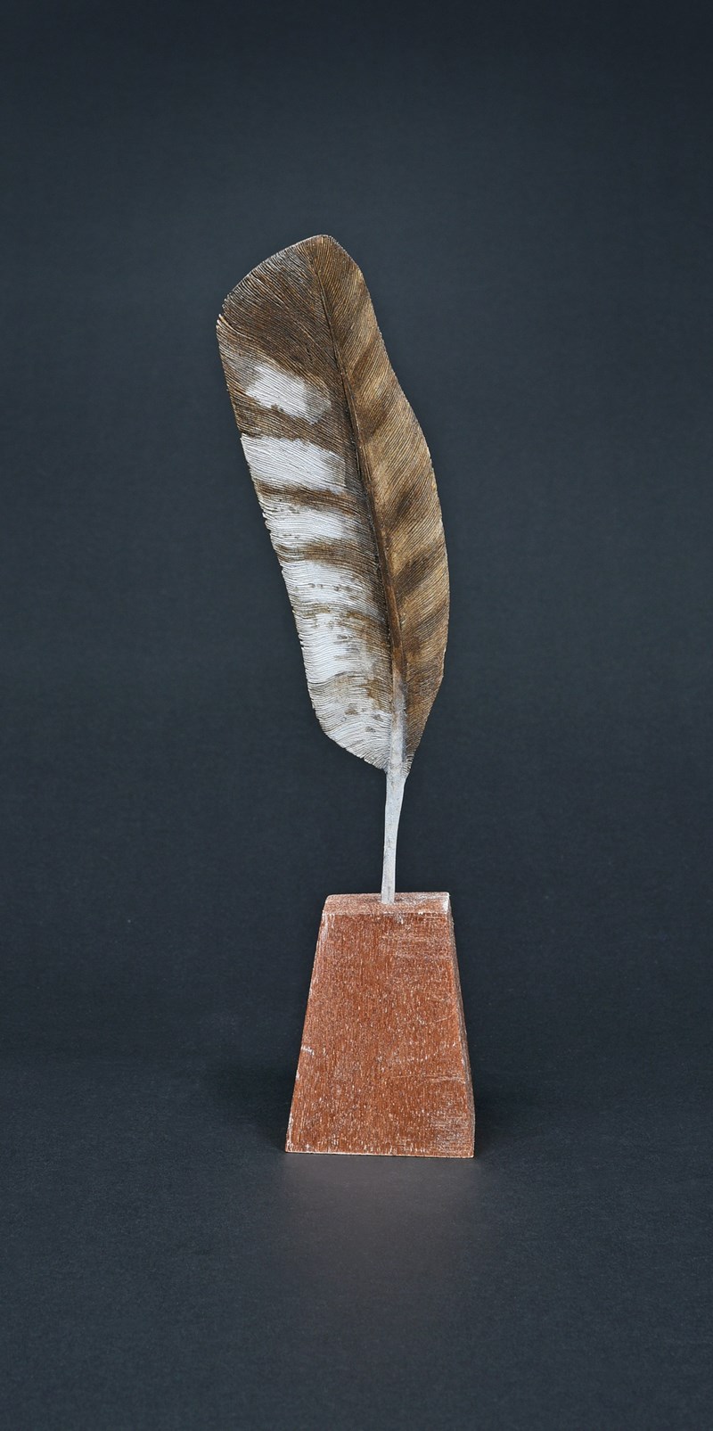 Buzzard left wing primary feather by Roger Francis, HC