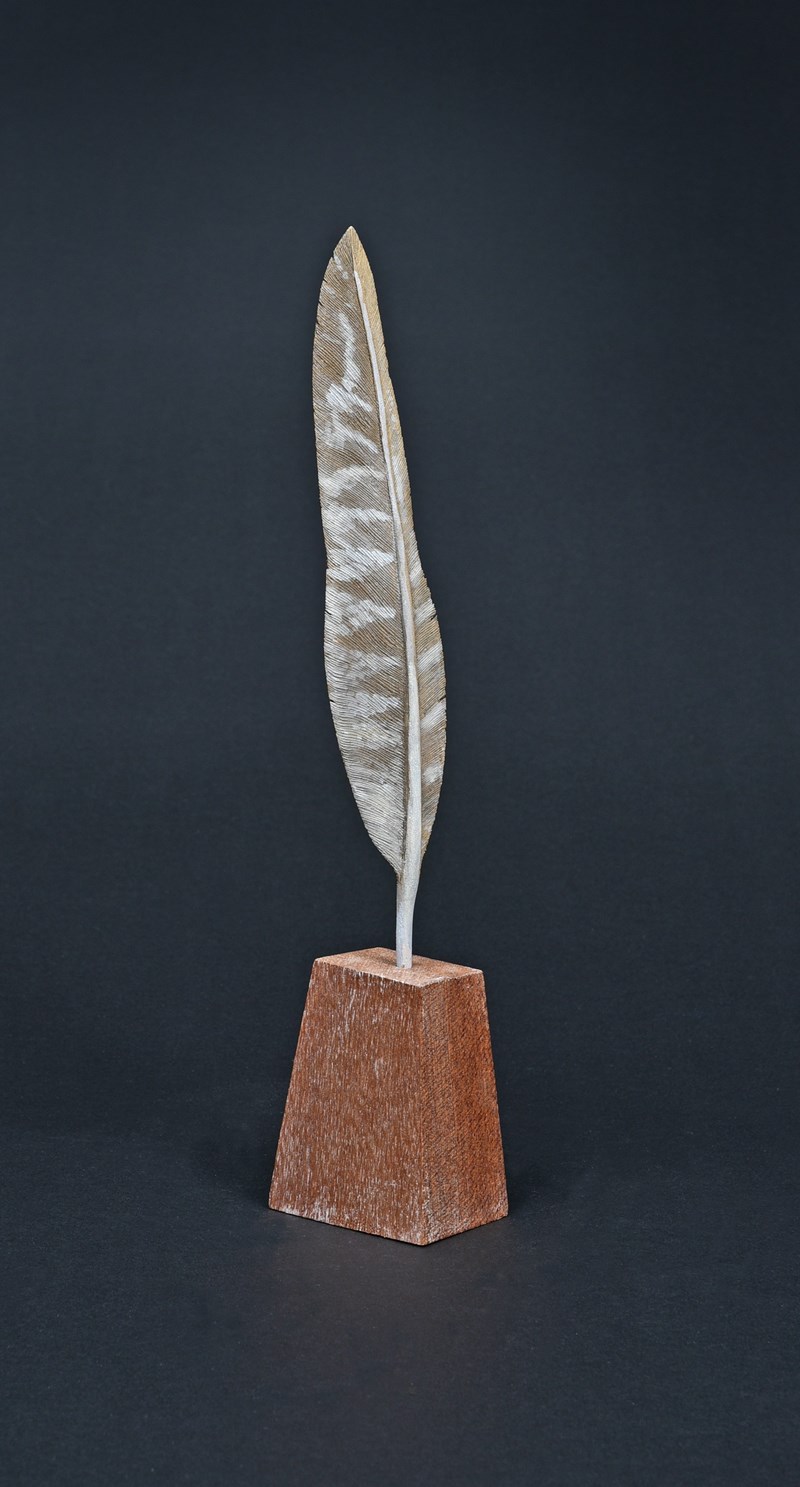 Pheasant left wing primary feather by Roger Francis