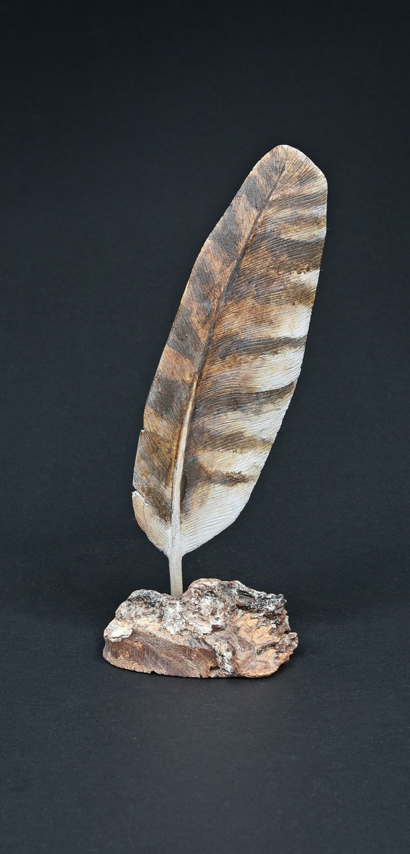 Barn Owl feather by Tom Hindmarch