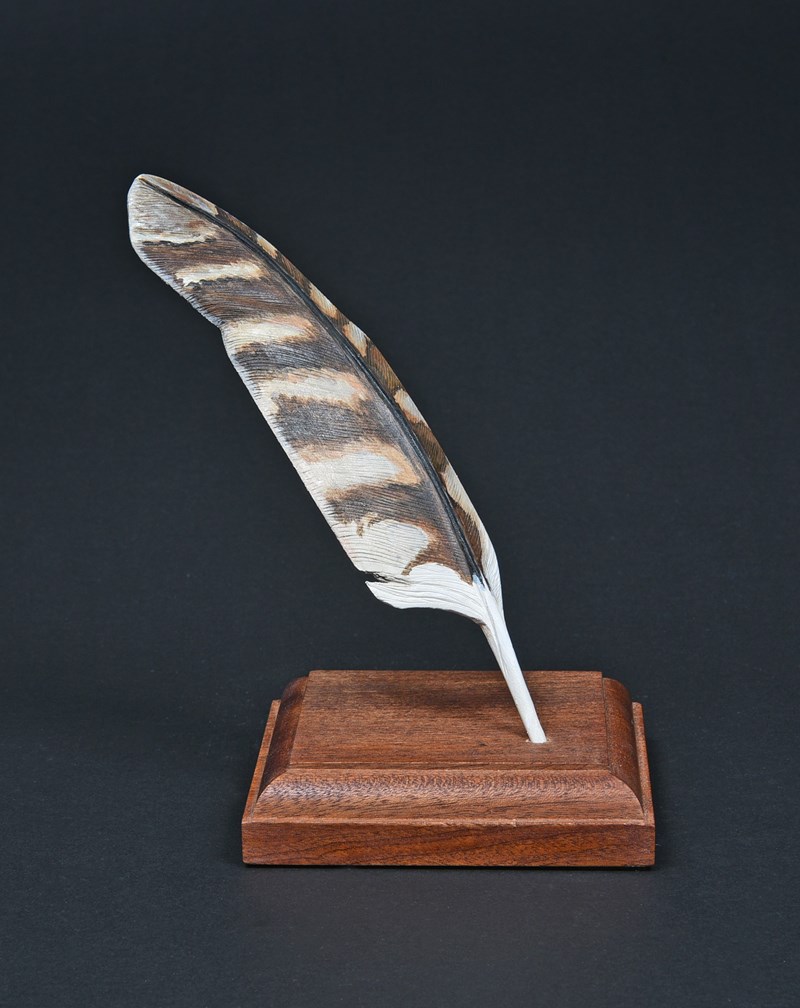 Tawny Owl feather by Elizabeth Rolley
