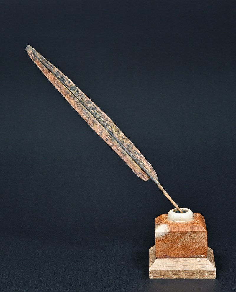 Pheasant Tail feather by Owen Wignall