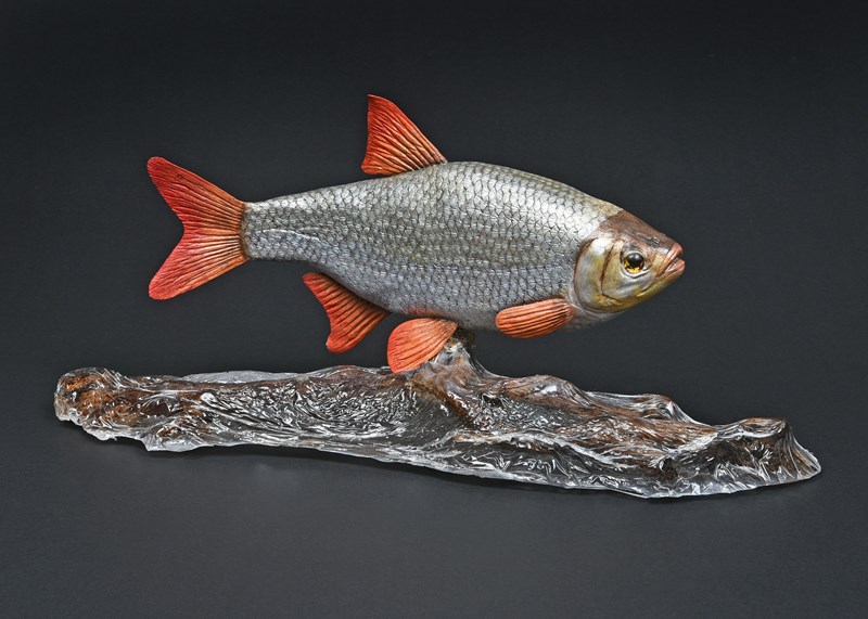 Rudd by Maggie Port, HC