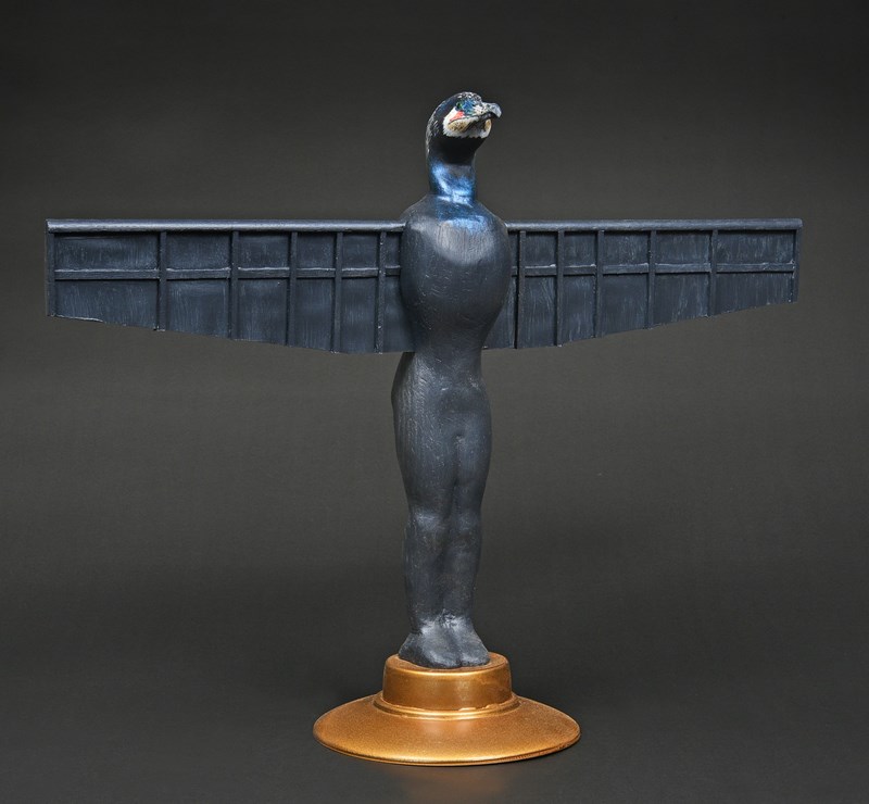 Northern Cormorant by Tom Hindmarch, 2nd