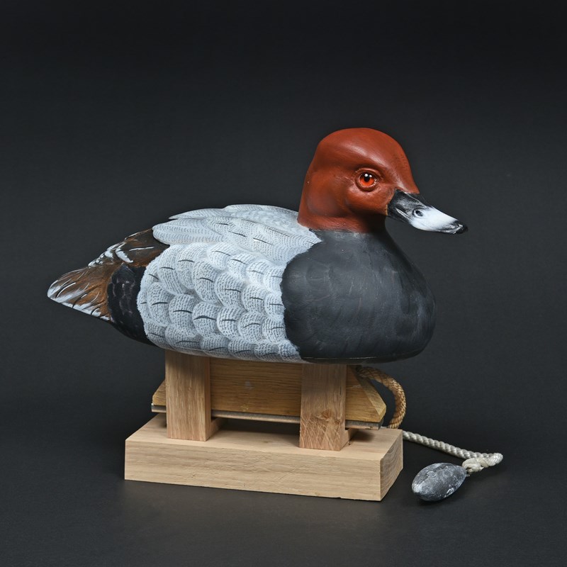 Pochard Decoy by Terry Getley, 1st