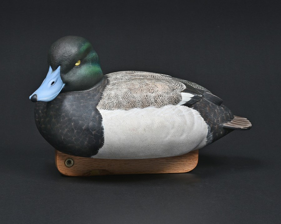 Greater Scaup by Craig Mortimore, 2nd