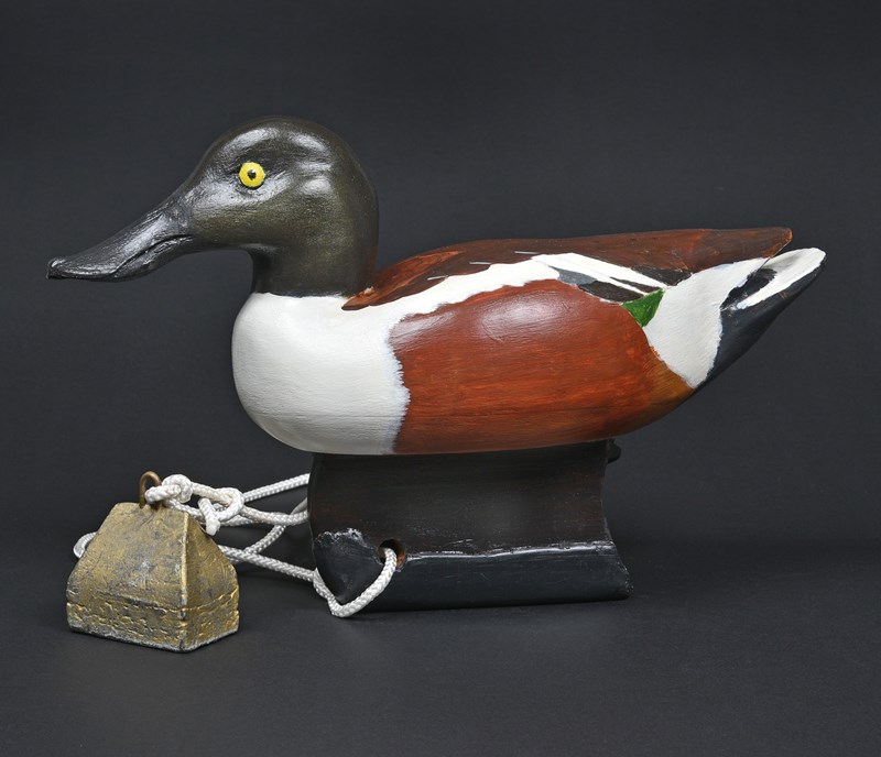 Shoveler by Peter Warren