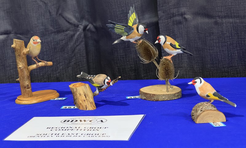 Bentley (South East) Group – 5th