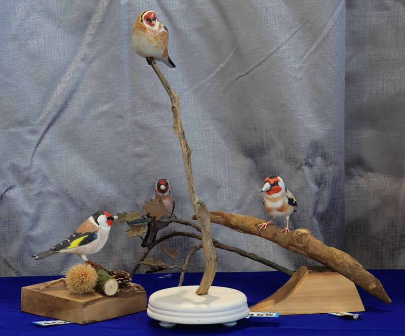 Cheshire Group – 4th