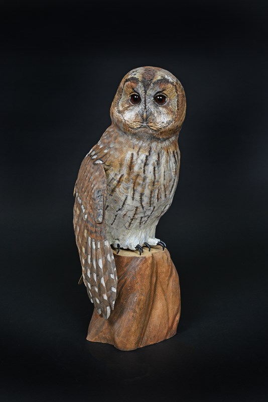 Tawny Owl by Maggie Port, 1st